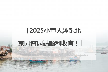 2025小黄人趣跑北京园博园站顺利收官！
